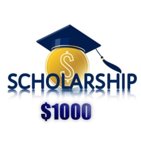 Student Scholarship item