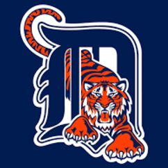 Tiger's Game vs. Texas Rangers 5/10/25 6:10pm - 1 admission item