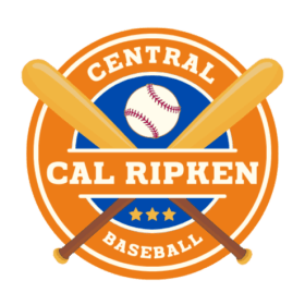 Pay in Full- DUE Immediately Unless Choosing Installments item