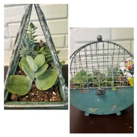 #78: Gorgeous Succulent Planter item