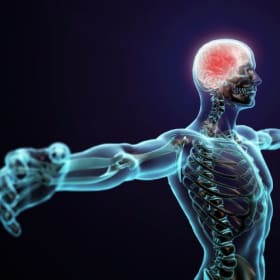 Human Physiology: Kinesiology and Injury Prevention item