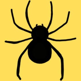 The Spider Sponsor item