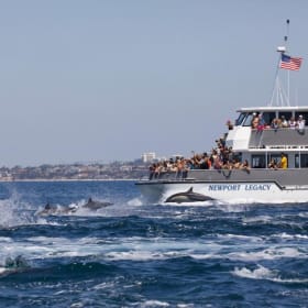 Newport Landing Whale Watching for 4 item