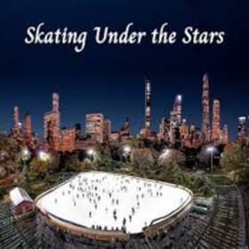 Wollman Rink Ice Skating item
