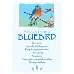 Advice from a Bluebird Blank Greeting Card item