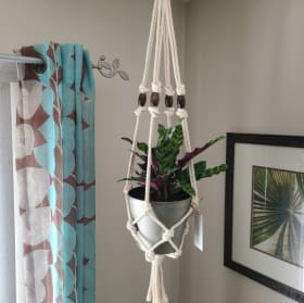 Macarame Plant Hanger and Plant item