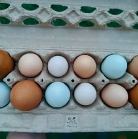 #115: 1 dozen farm fresh eggs item
