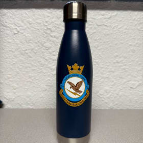 Insulated Water Bottle item