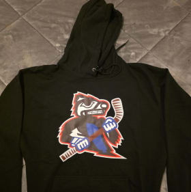 Grey Hoodie with logo only (black one is a demo) item