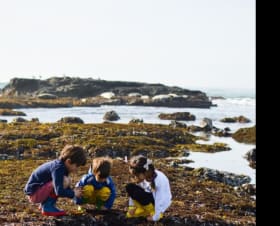 Tidepooling & Brunch at Fitzgerald Marine Reserve item