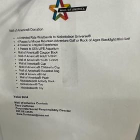 Mall of America Basket item