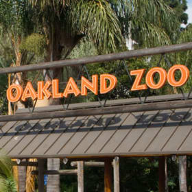 Wild Day Out: Zoo Family Pass for Four item