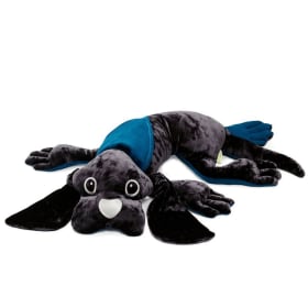 Certificat-cadeau FDMT - 50 $ item