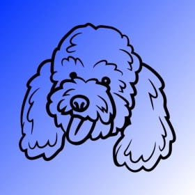 Birdie's VIP Sponsor item