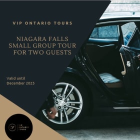 12. Toronto to Niagara Falls (round trip) Private Tour for 2 item