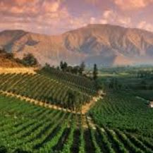 Mendoza Wine Country + Buenos Aires , Argentina for 5 days! item
