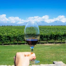 Mendoza Wine Country + Buenos Aires , Argentina for 5 days! item