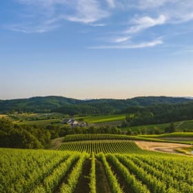 Luxurious Willamette Wine Retreat 3 nights, 2 guests item