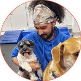 1 month Platinum Unlimited Membership from Colby's Dogcare item