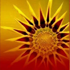 1 Hour Therapeutic Massage item