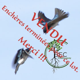 *SOLD* #193 - A direct donation without auction of $50 to BEC item