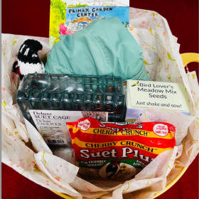 Bird Lover's Delight Gift Basket from Primex Garden Center item