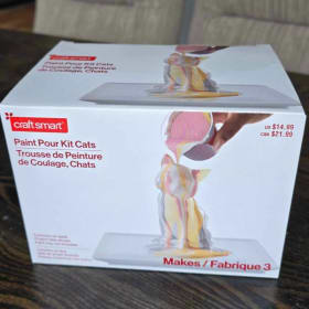 Paint Pour Kit - Cat item