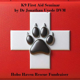 First Aid Seminar Ticket item