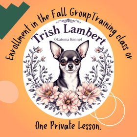Gift Certificate for Dog Training by Trish Lambert item