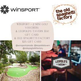 Minigolf Vouchers (2) & Gift Cards - Calgary item