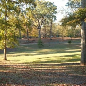 Teacher Experience: Photo Walk with Kiah item