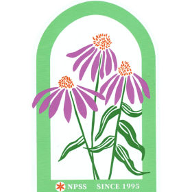 Echinacea Sticker item