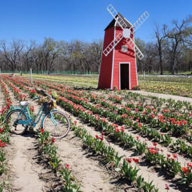 4 Tickets to Sweet Eats Fruit Farm item