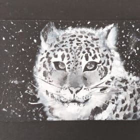 #89 Snowball by Erin Quarles, 12th Grade item