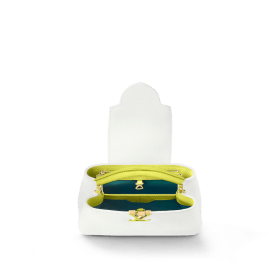 Louis Vuitton Capucine BB handbag item