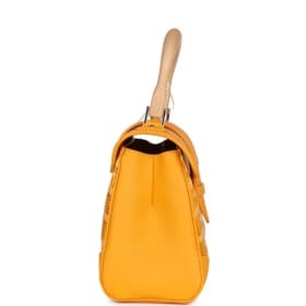 Goyard Saigon Souple Mini Bag item