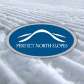 Perfect North Slopes Admission item