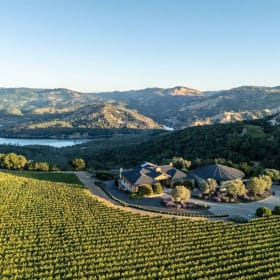 Lot 3: A Private Evening with Colgin Cellars item