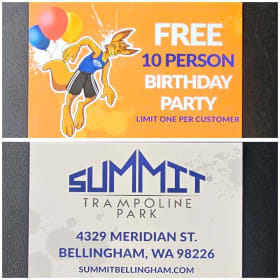 Summit Adventure Park 10 Person Birthday Party item