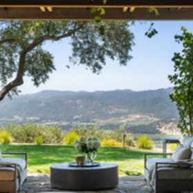 Lot 4: OVID, The French Laundry & Backen Estate item