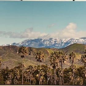 Fine Art Nature Photography item