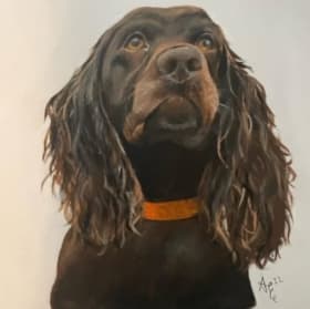 Custom 16 x 20 Pet Portrait by Artsy Amber Design item