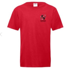 Men's T-shirt item