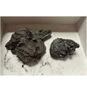 Ashes from the Final Crew Fire – Last Michigan Womyn’s Music item