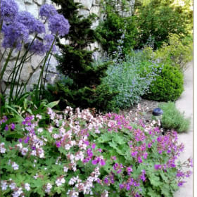 4 Hrs. Professional Gardening by Bluestone Exteriors item