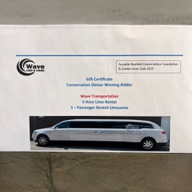 E11 - 5-Hour Limo Rental item