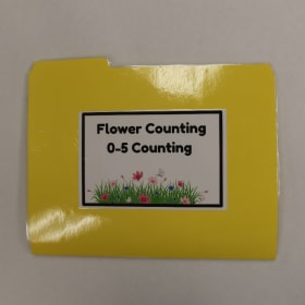 File Folder Game: Flower Counting item