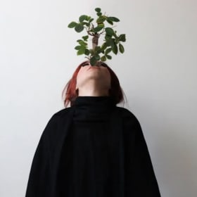 The Wind Has Blown from the East Series, Immigration item