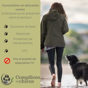 Forfait Consultation Comportement Canin à Distance item