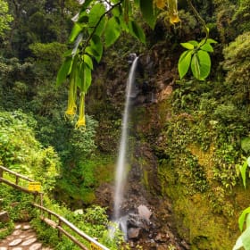 Los Establos - Panama item